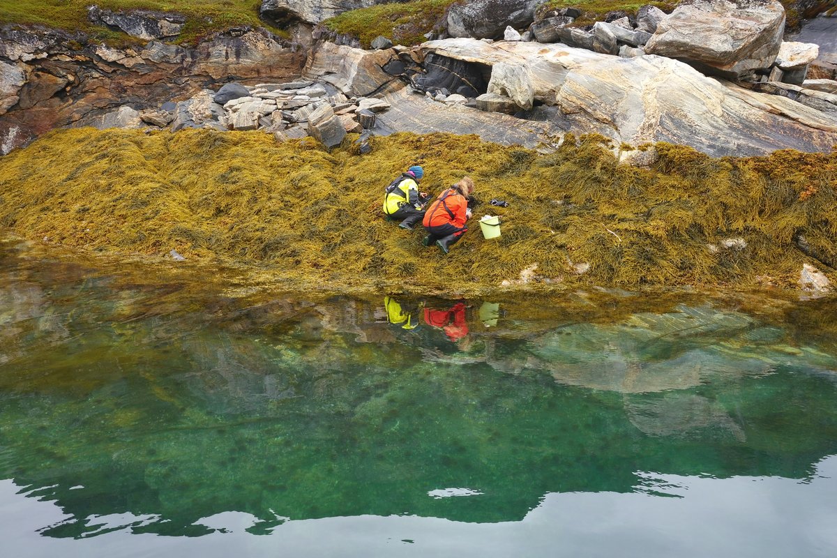 Nuuk. Photo: Ole Geertz Hansen