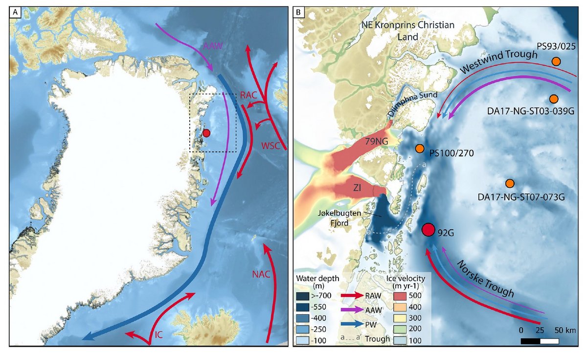 Linkages between ocean circulation and the Northeast Greenland Ice ...