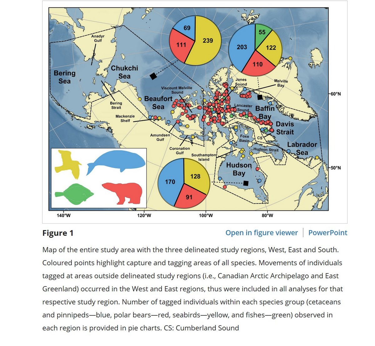 Abundance And Species Diversity Hotspots Of Tracked Marine Predators 