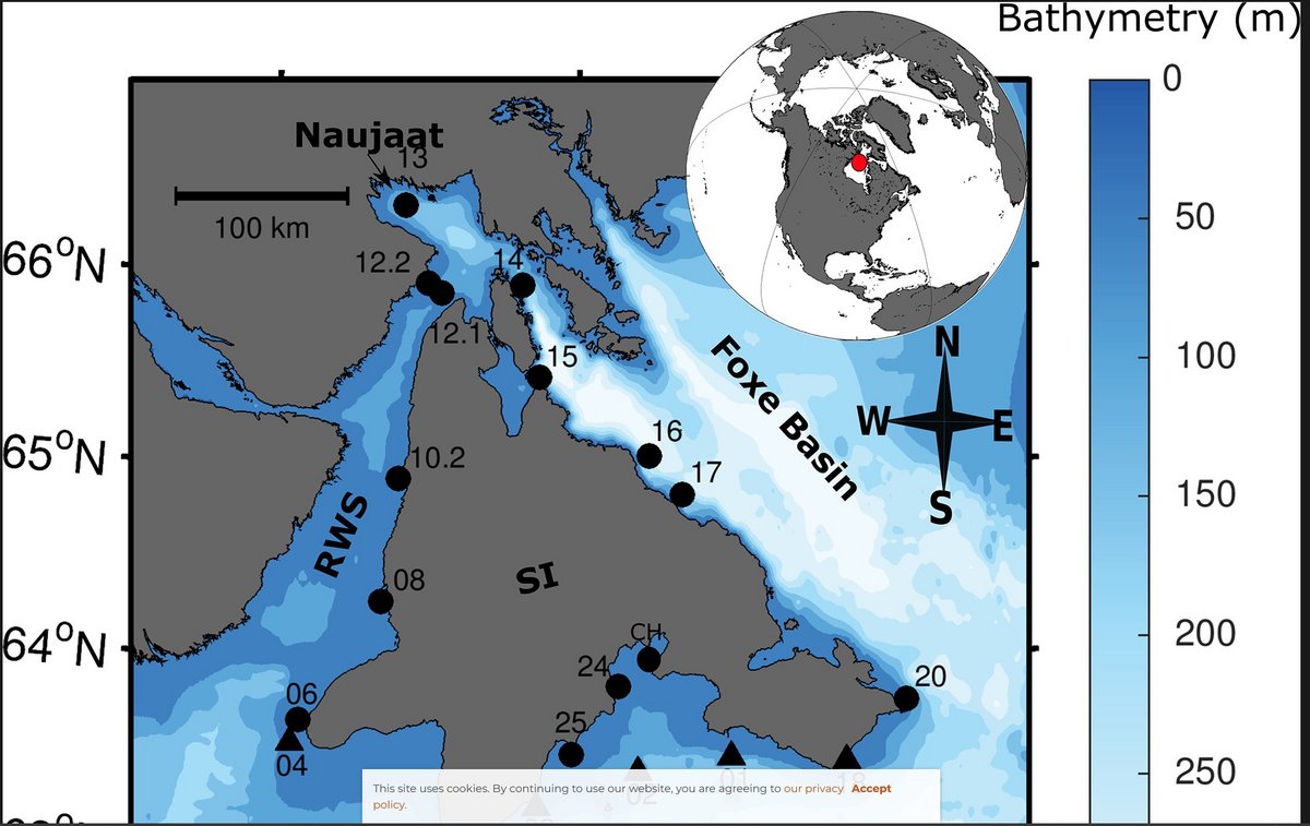 Increasing depth distribution of Arctic kelp with increasing number of ...