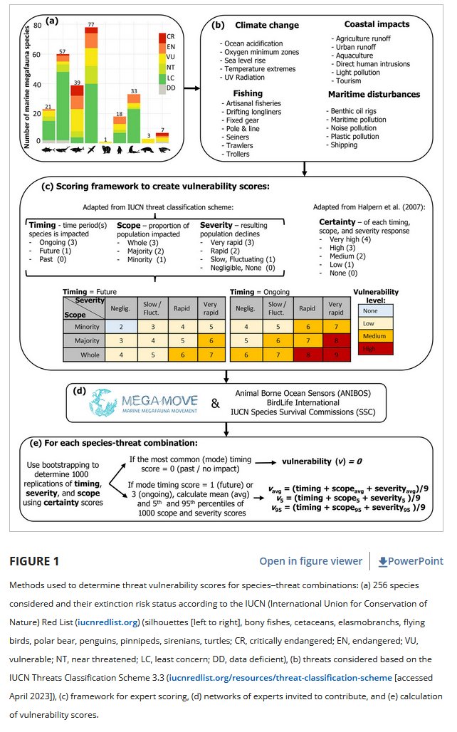 Vulnerability of marine megafauna to global at-sea anthropogenic threats