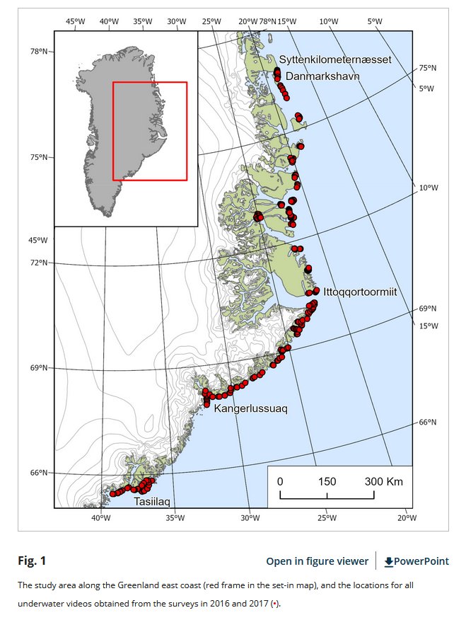 Latitude, sea ice, and glaciers are important drivers of submerged ...