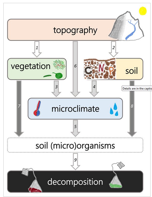Microclimate explains little variation in year-round decomposition ...